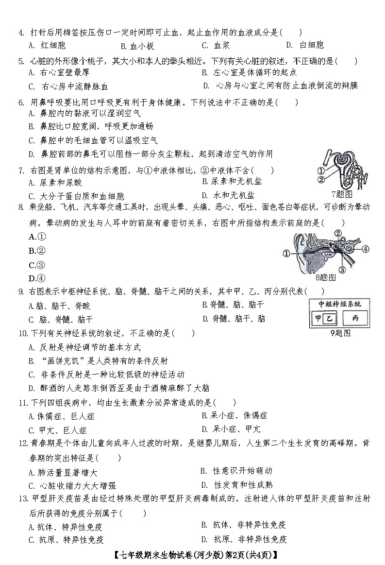 河北省蔚县2020～2021 学年七年级第二学期期末生物试卷 (河少版)第2页