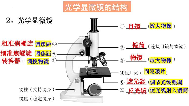 3.1.1 细胞的基本结构与功能课件PPT05