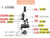 3.1.1 细胞的基本结构与功能课件PPT