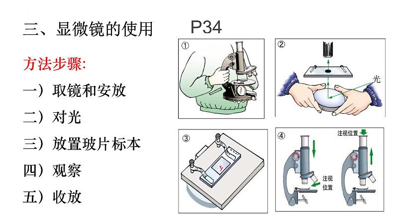 3.1.1 细胞的基本结构与功能课件PPT06