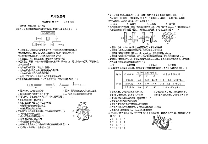 江苏省徐州市丰县创新外国语学校2023-2024学年八年级上学期第一次质量检测生物试卷（月考）01