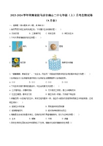 2023-2024学年河南省驻马店市确山二中七年级（上）月考生物试卷（9月份）（含解析）