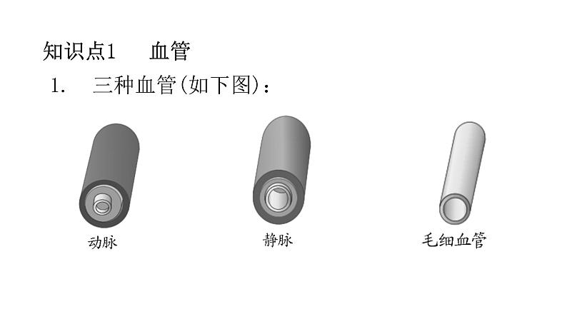 北师大版七年级生物下册第9章人体内的物质运输第2节血液循环第1课时练习课件第2页