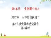 北師大版七年級生物下冊第12章人體的自我調(diào)節(jié)第2節(jié)感受器和感覺器官第1課時練習課件