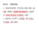北師大版七年級生物下冊第12章人體的自我調(diào)節(jié)第2節(jié)感受器和感覺器官第1課時練習課件