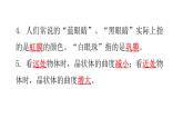北師大版七年級生物下冊第12章人體的自我調(diào)節(jié)第2節(jié)感受器和感覺器官第1課時練習課件