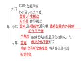 北師大版七年級生物下冊第12章人體的自我調(diào)節(jié)第2節(jié)感受器和感覺器官第2課時練習課件
