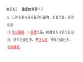 北師大版七年級(jí)生物下冊(cè)第12章人體的自我調(diào)節(jié)第3節(jié)激素調(diào)節(jié)練習(xí)課件