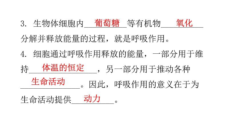 北师大版七年级生物下册基础知识填空题第10章人体的能量供应课件03