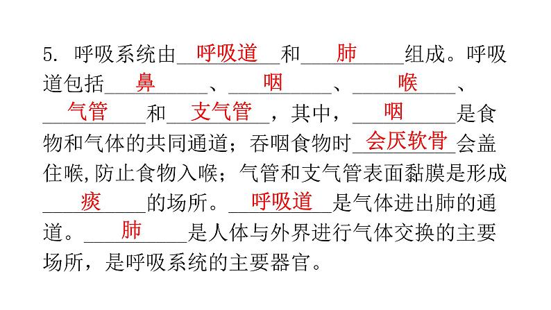 北师大版七年级生物下册基础知识填空题第10章人体的能量供应课件04