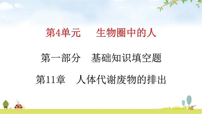 北师大版七年级生物下册基础知识填空题第11章人体代谢废物的排出课件01