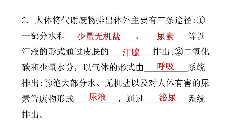 北师大版七年级生物下册基础知识填空题第11章人体代谢废物的排出课件03