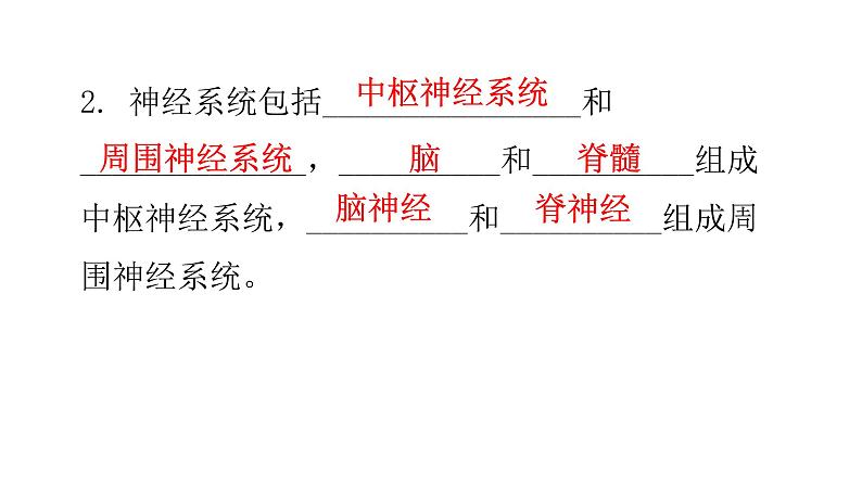 北师大版七年级生物下册基础知识填空题第12章人体的自我调节课件第3页