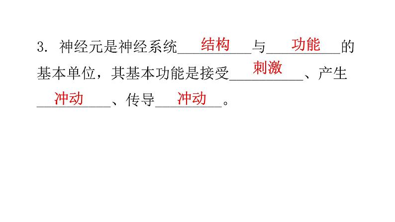 北师大版七年级生物下册基础知识填空题第12章人体的自我调节课件第4页