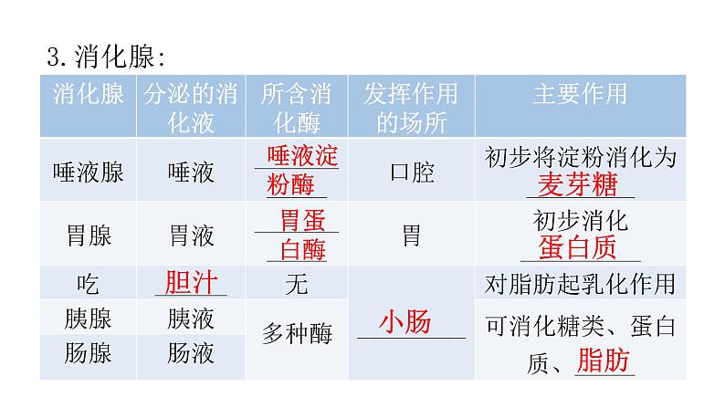 北师大版七年级生物下册第8章人体的营养第2节食物的消化和营养物质的吸收第1课时课件06