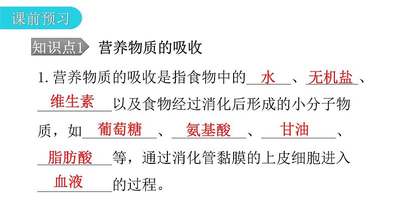 北师大版七年级生物下册第8章人体的营养第2节食物的消化和营养物质的吸收第2课时课件04