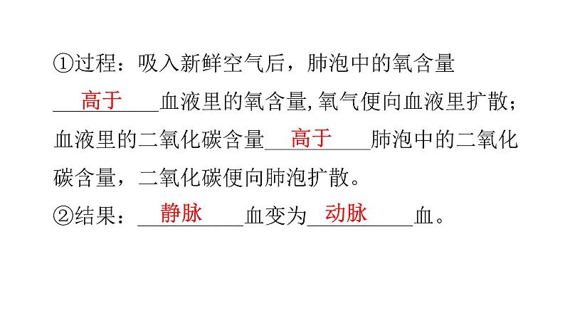 北师大版七年级生物下册第10章人体的能量供应第2节人体细胞获得氧气的过程第2课时课件06