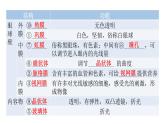 北师大版七年级生物下册第12章人体的自我调节第2节感受器和感觉器官第1课时课件