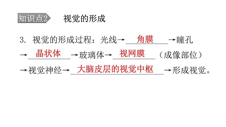 北师大版七年级生物下册第12章人体的自我调节第2节感受器和感觉器官第1课时课件07