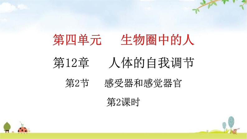 北师大版七年级生物下册第12章人体的自我调节第2节感受器和感觉器官第2课时课件第1页
