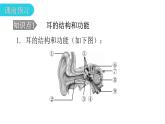 北师大版七年级生物下册第12章人体的自我调节第2节感受器和感觉器官第2课时课件