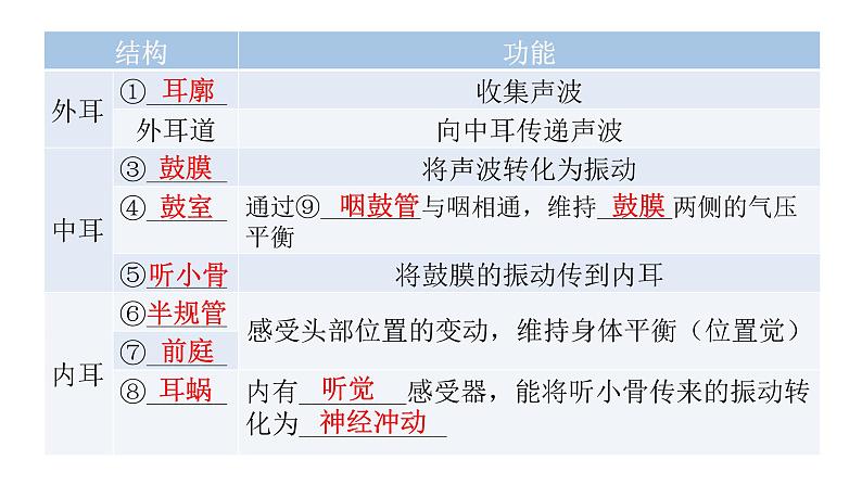 北师大版七年级生物下册第12章人体的自我调节第2节感受器和感觉器官第2课时课件第5页
