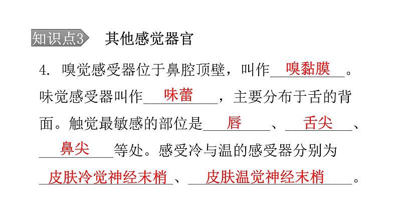 北师大版七年级生物下册第12章人体的自我调节第2节感受器和感觉器官第2课时课件第8页