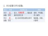 北師大版七年級(jí)生物下冊(cè)第12章人體的自我調(diào)節(jié)第3節(jié)激素調(diào)節(jié)課件
