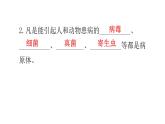 北师大版七年级生物下册第13章健康地生活第2节预防传染病课件