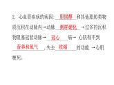 北师大版七年级生物下册第13章健康地生活第4节当代主要疾病和预防课件