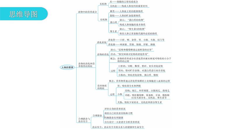 北师大版七年级生物下册第8章人体的营养章节总结课件03