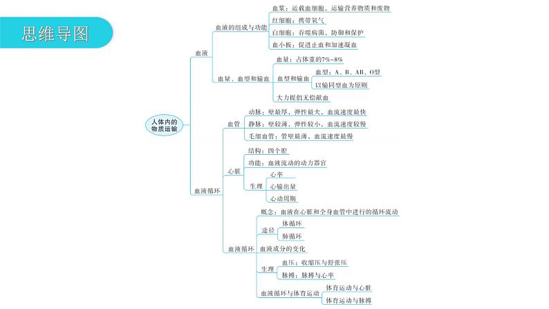 北师大版七年级生物下册第9章人体内的物质运输章末总结课件03