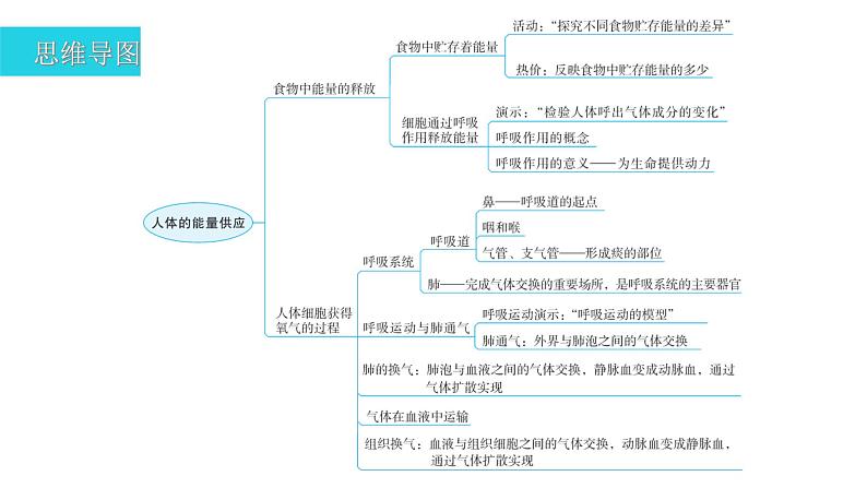 北师大版七年级生物下册第10章人体的能量供应章末总结课件第3页