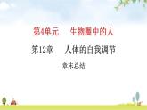 北师大版七年级生物下册第12章人体的自我调节章末总结课件