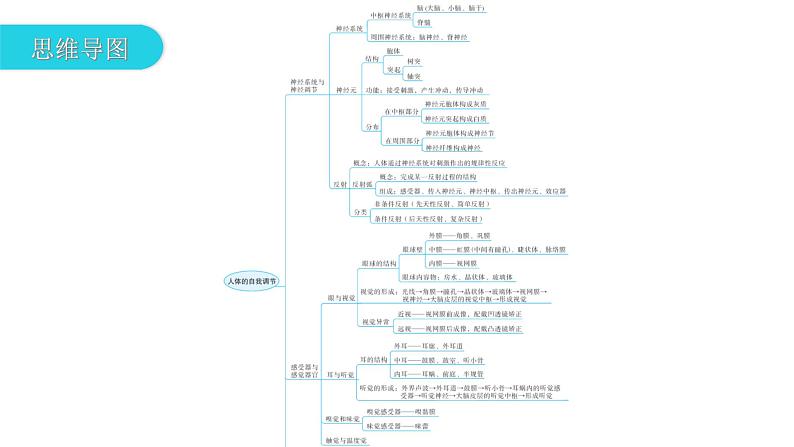 北师大版七年级生物下册第12章人体的自我调节章末总结课件03