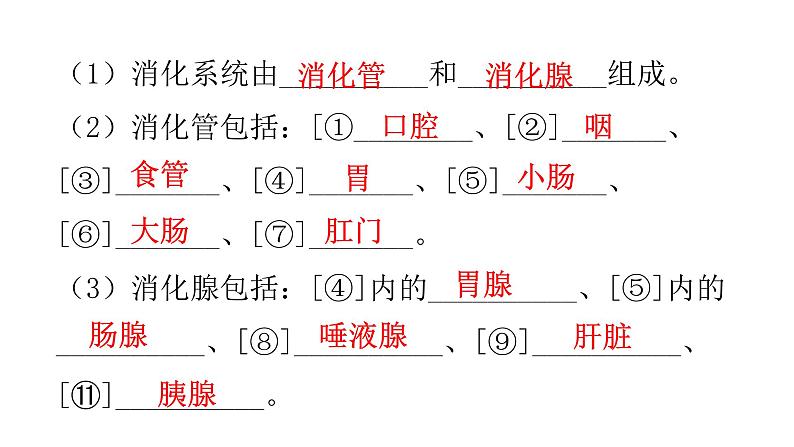 北师大版七年级生物下册第八章人体的营养课件第3页