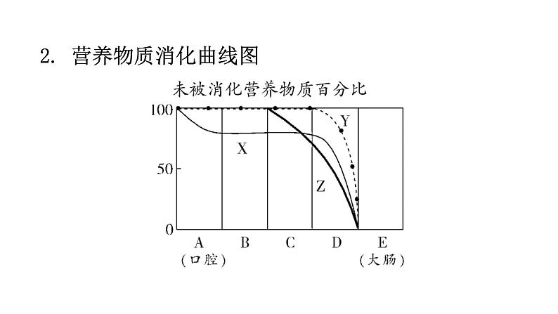 北师大版七年级生物下册第八章人体的营养课件第5页