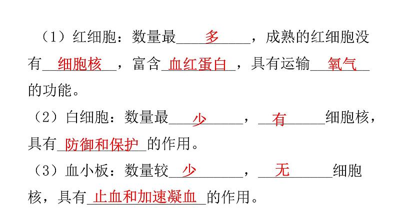 北师大版七年级生物下册第九章人体内的物质运输课件03