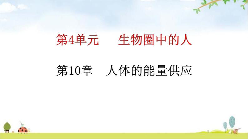 北师大版七年级生物下册第十章人体的能量供应课件第1页