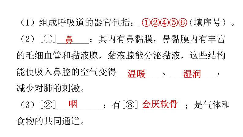 北师大版七年级生物下册第十章人体的能量供应课件第3页