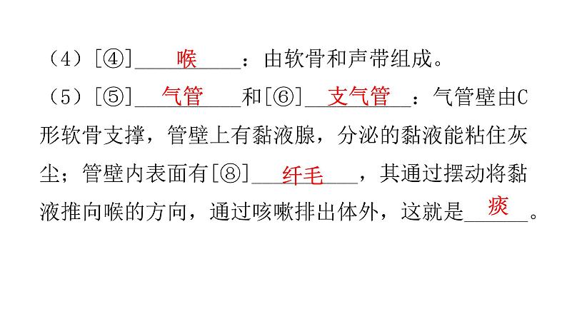 北师大版七年级生物下册第十章人体的能量供应课件第4页