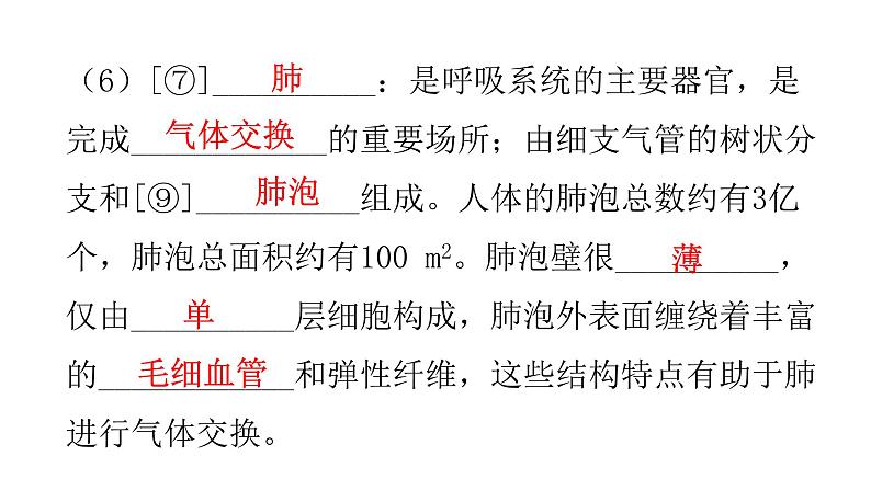 北师大版七年级生物下册第十章人体的能量供应课件第5页