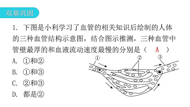 北师大版七年级生物下册第9章人体内的物质运输第2节血液循环第1课时课件03