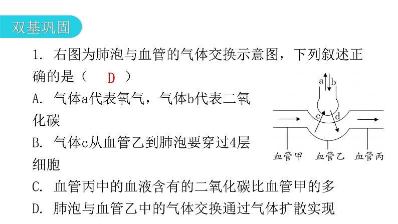 北师大版七年级生物下册第10章人体的能量供应第2节人体细胞获得氧气的过程第2课时课件第3页