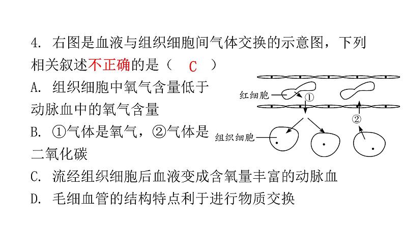 北师大版七年级生物下册第10章人体的能量供应第2节人体细胞获得氧气的过程第2课时课件第6页