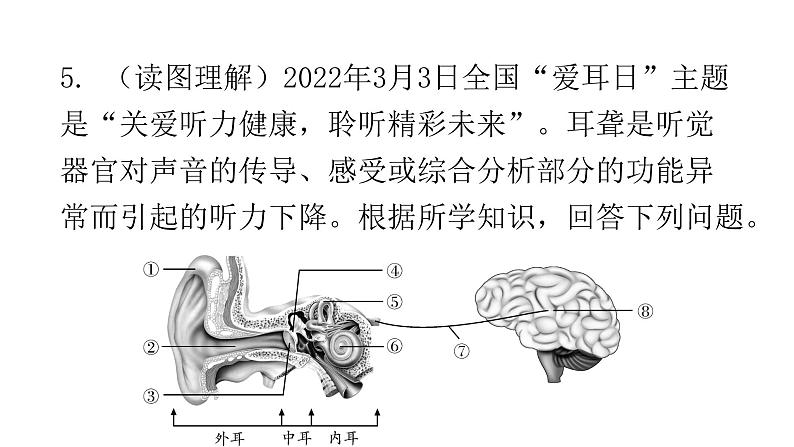 北师大版七年级生物下册第12章人体的自我调节第2节感受器和感觉器官第2课时课件第7页