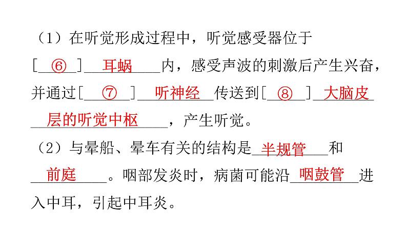 北师大版七年级生物下册第12章人体的自我调节第2节感受器和感觉器官第2课时课件第8页