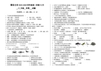 山东省青岛市第七中学2023-2024学年八年级上学期10月月考生物试题