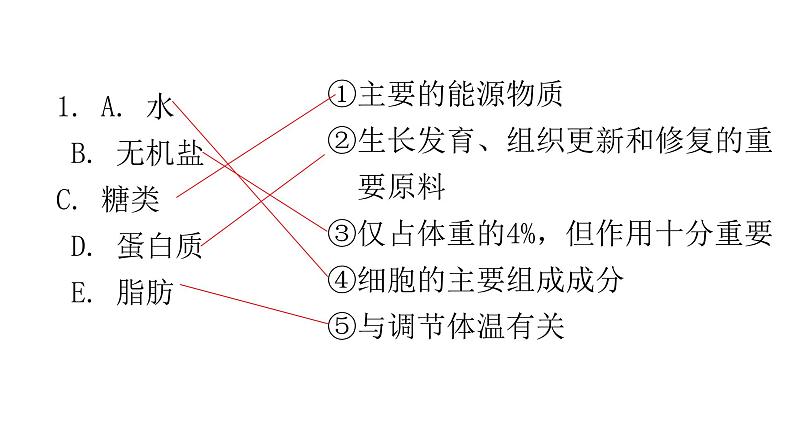 北师大版七年级生物下册相关知识连线题课件02