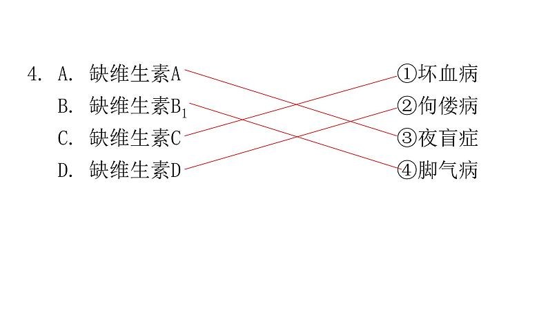 北师大版七年级生物下册相关知识连线题课件05